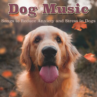 Waggy Tail - RelaxMyDog & Dog Music Dreams & Pet Music Therapy