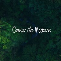 One Hundred Lines - Background Instrumental Music Collective & Musique Coeur de la Nature & Harmony Green