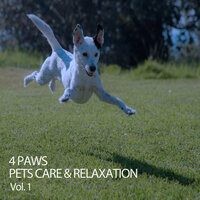 Sleeping Cat - Dog Music Club & Dog Music Waves & Music for Calming Dogs