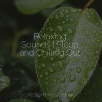 Warmth in the Sea - Native American Flute & Calming Sounds & Sleep Meditation Dream Catcher