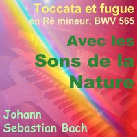 Toccata et fugue in D Minor, BWV 565 - Andre Bernard & Johann Sebastian Bach