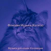 Атмосфера (Дрессировка кошки) - Музыка для кошек Коллекции
