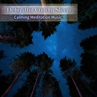 Enjoy the Scenery - Delightful Cuddly Sleep