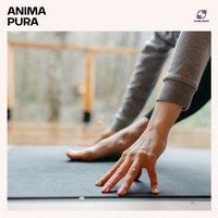 Musica per Meditazione - Musica Per Yoga & Musica per Yoga Maestro & Musica Yoga Rilassante & Musica Meditazione Yoga