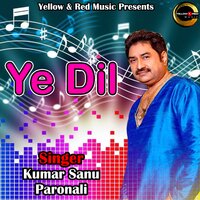 Ye Dil - Kumar Sanu & Paronali