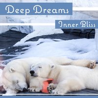 Tranquil Mind - Meditation Yoga Empire