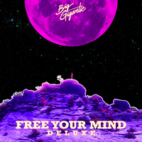St. Lucia - Big Gigantic & Felly