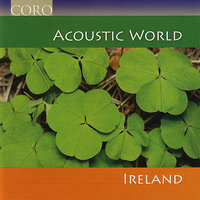 The Wise Maid, Macleod's Reel, The Boys of Malin - Reels - Alan Clark & Ciaran Tourish & Mairéad Ní Mhaonaigh & Micheal O Suilleabhain & Proinsias O Maonaigh & Dave Jackson