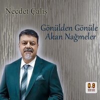 Kuşlar Sussun Rüzgar Dursun - Necdet Çalış