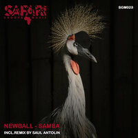Samba - Newball & Saul Antolin