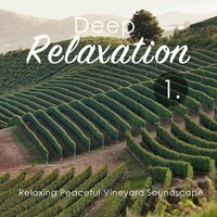 Relaxing Peaceful Vineyard Soundscape, Pt. 17 - Craig Hewitt