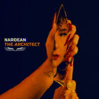 The Come Down - Nardean & Fedi