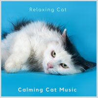 Kitty Cat Jazz - Calming Cat Music