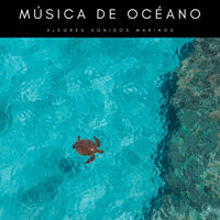Tranquilidad Junto Al Mar - Relajación océano y olas & Olas Glaciares & Agua Del Mar