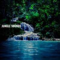 Tranquil Binaural Sounds - Uncle Feaster