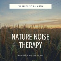 Buddhist Meditation - Therapeutic NA Music