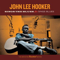 Taxi Driver - John Lee Hooker