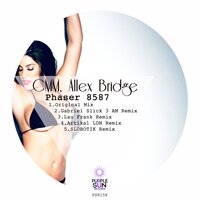 Phaser 8587 - CMM & Allex Bridge