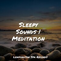 Windy Waves - Relaxing Sounds of Nature & Nature Ambience & Rain Shower Spa