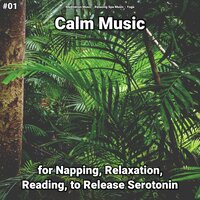 Calm Music, Pt. 16 - Meditation Music & Relaxing Spa Music & Yoga