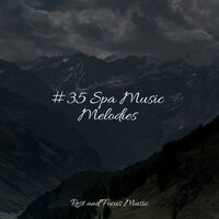Fluid Motion - Exam Study Classical Music & Brain Study Music Guys & Música de la Naturaleza