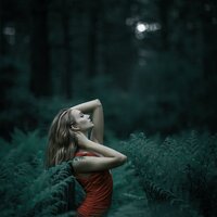 Positive Thinking - Organic Nature Sounds & Musica para Dormir Dream House & SleepTherapy