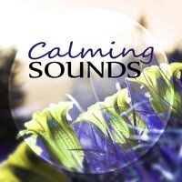 Celtic Spa - Relaxing Evening Music Universe