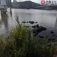 一座座高山 - 一只千纸鹤