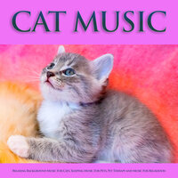 Peaceful Music for Cats - Cat Music & Music For Cats & Music For Pets