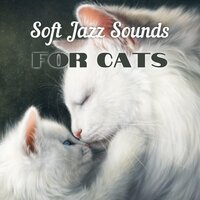 Anti Stress Song - Music For Cats Peace