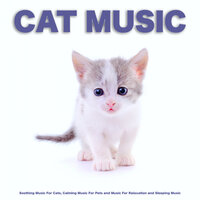 Cat Music For Cats - Cat Music & Calming Music For Pets & Music For Cats