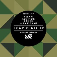 Shocker - Tiësto & DJ Punish & Basscamp
