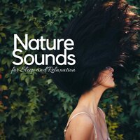 Beauty Sleep - Nature Sounds Sleep Solution for Tinnitus