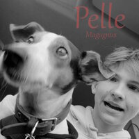 Farlige Pelle - Magagnus