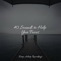 Foggy Shores - The Rainforest Collective & Natural Sound Makers & Organic Nature Sounds