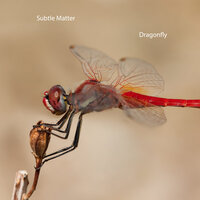 Saturn - Subtle Matter