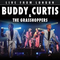 Shout - Buddy Curtess & The Grasshoppers