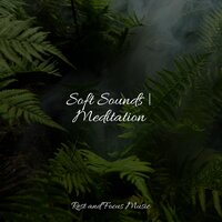 Lavender Fields - Reiki Tribe & Baby Relax Music Collection & Meditative Music Guru