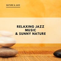 Background Spa Music - Nature & Jazz