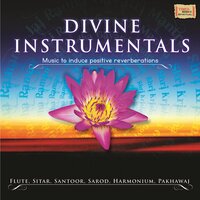 Shri Krishna Govind - Ashit Desai & Pandit Bhavani Shankar & Pandit Rakesh Chaurasia & Pandit Ulhas Bapat & Sunil Das