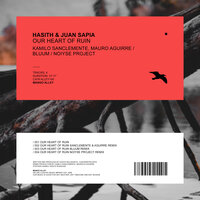 Our Heart of Ruin - Hasith & Juan Sapia & bluum