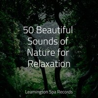 Mellow Tones - Natural Sample Makers & Easy Sleep Music & Sons da Natureza