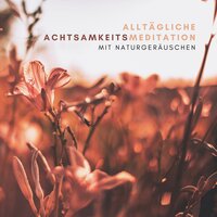 Frei von Stress - Naturgeräusche Meditationsmusik