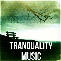 Time of Relax - Natural Sleep Aid Ensemble