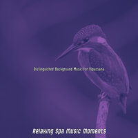 Magnificent Vipassana Meditation - Relaxing Spa Music Moments