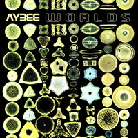 Solaris - Aybee