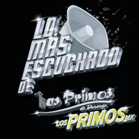 Mentirosa - Los Primos MX