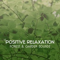 Spiritual Relaxation Moment - Mothers Nature Music Academy