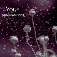 You - Harryson
