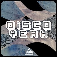 The Acid House of Disco - Andy Bach